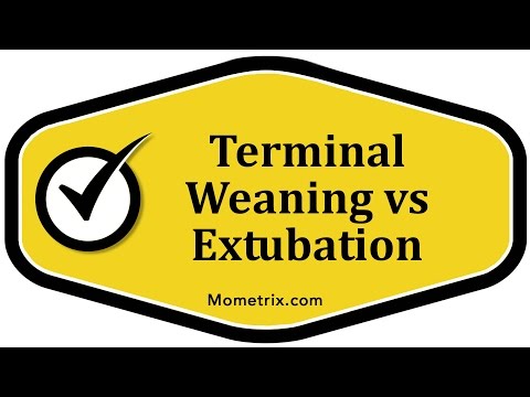 Terminal Weaning vs Extubation