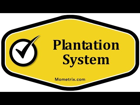 Plantation System
