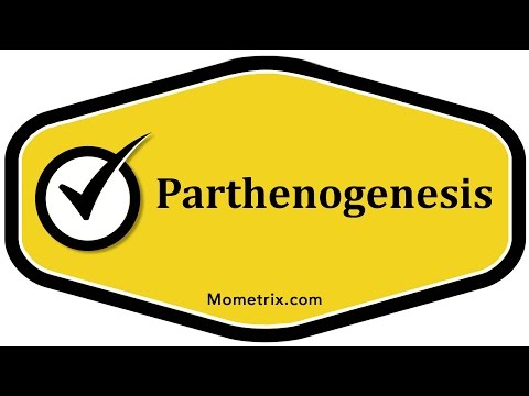 Parthenogenesis