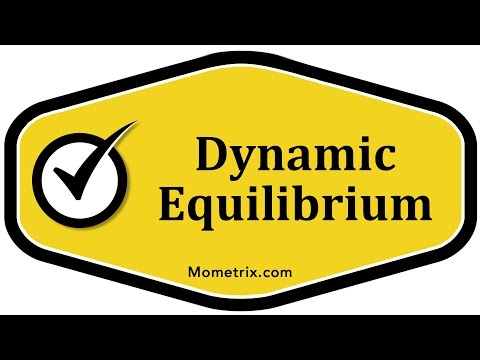 Dynamic Equilibrium