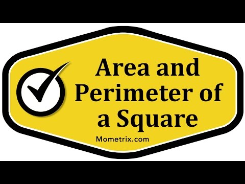 Area and Perimeter of a Square