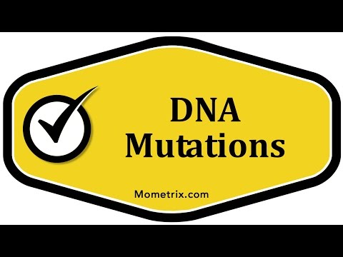 DNA Mutations