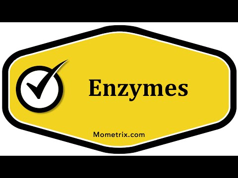 Enzymes