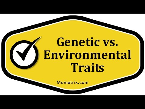 Genetic vs. Environmental Traits (Video)