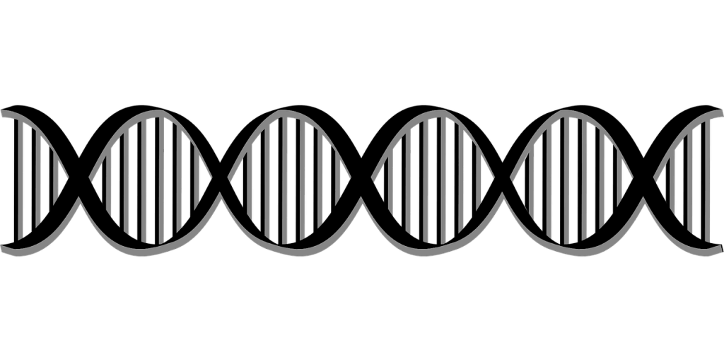A DNA strand