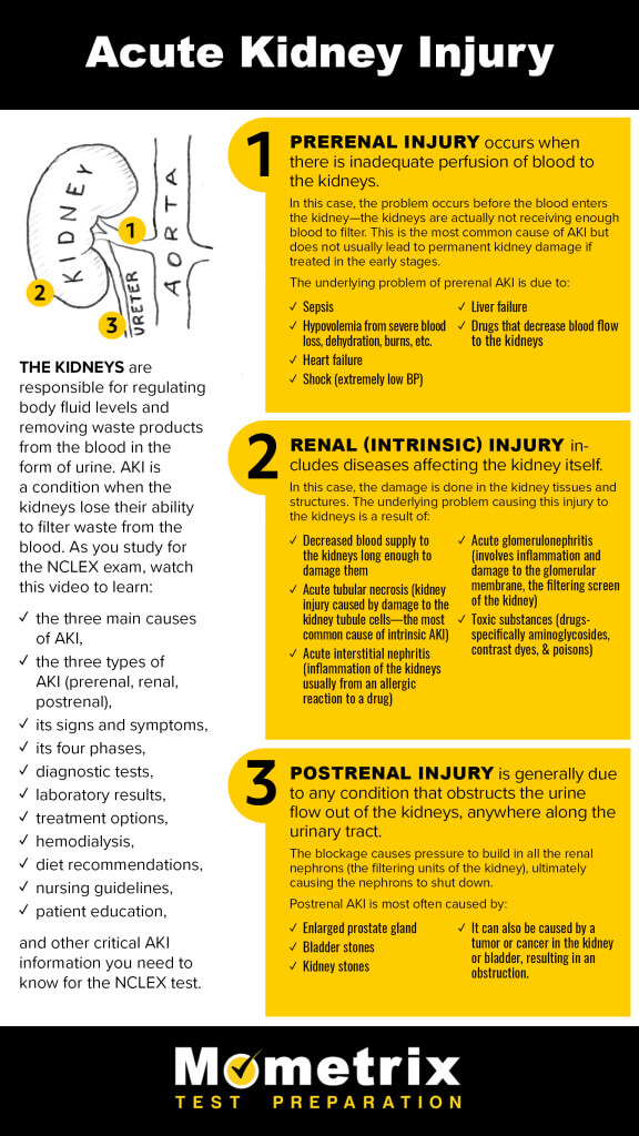 NCLEX Review - AKI (Acute Kidney Injury) [Video]