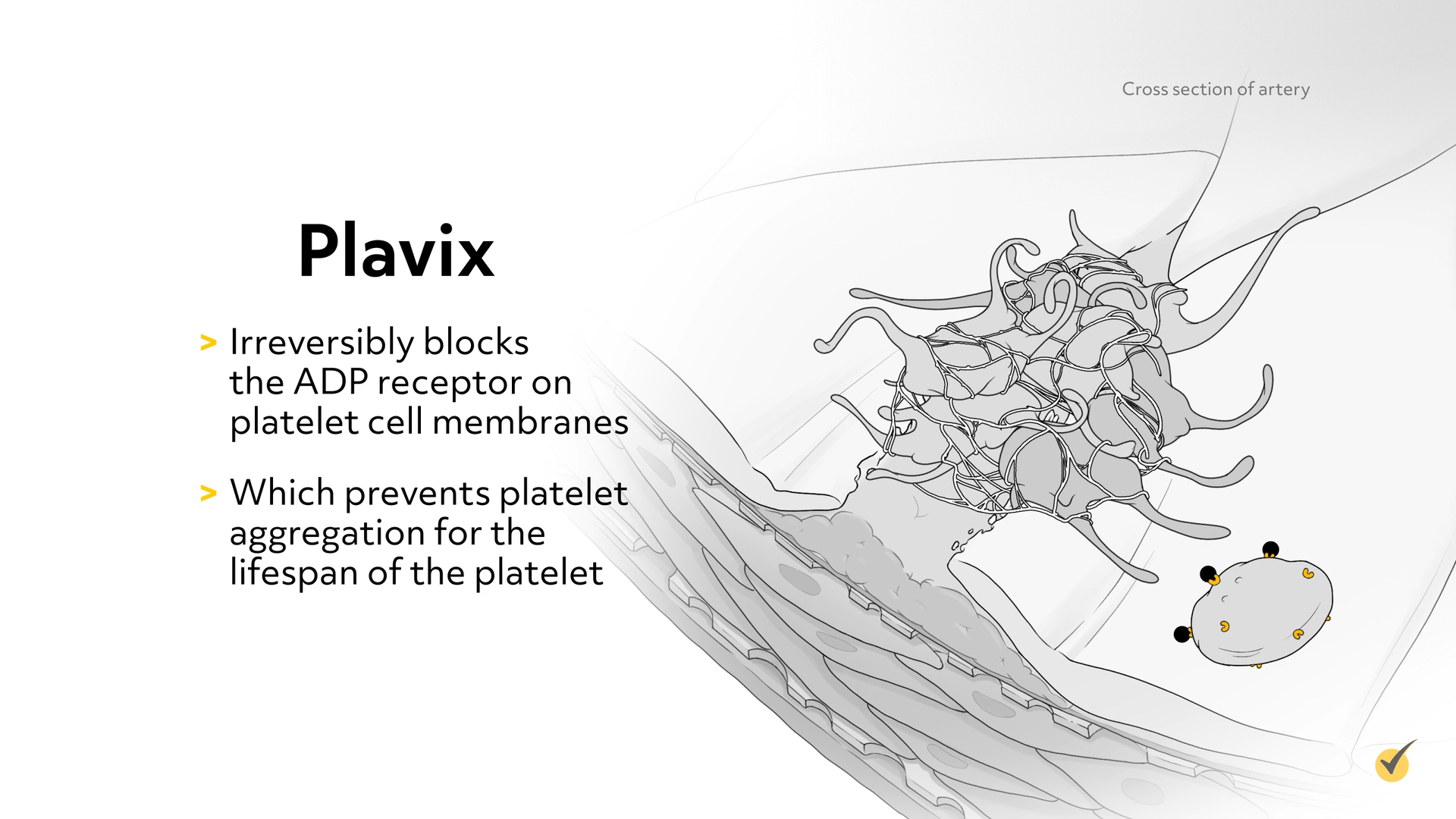 plavix