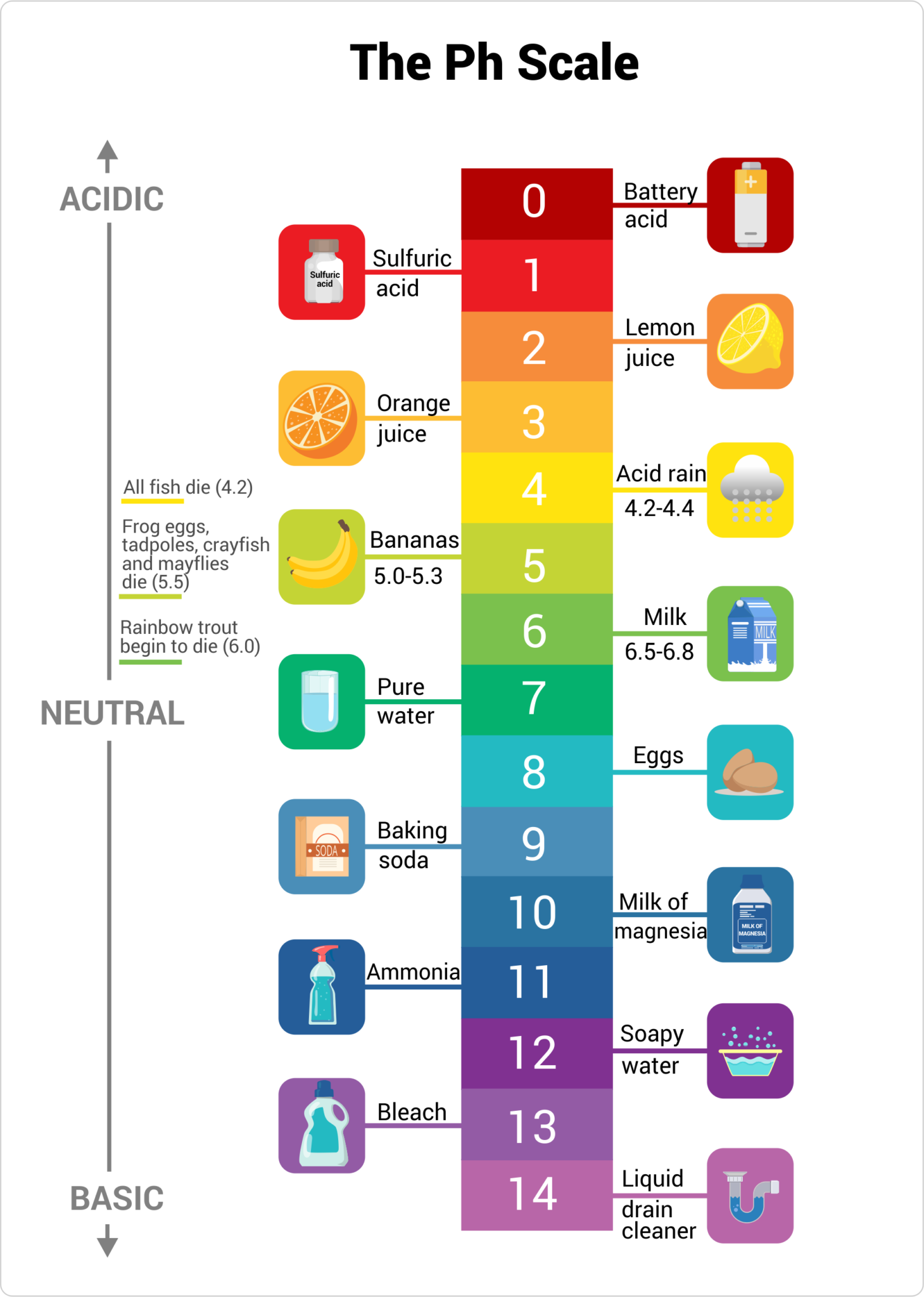 Understanding The Ph Scale