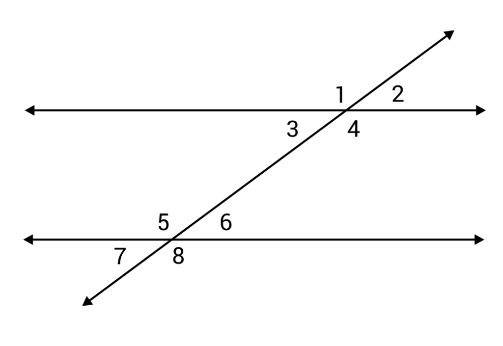 Angles - Geometry Review (Video)