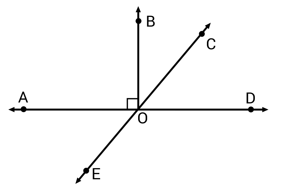 6 points with one angle being a right angle