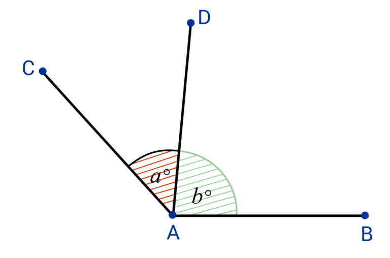 What are Adjacent Angles? [Sample Questions]