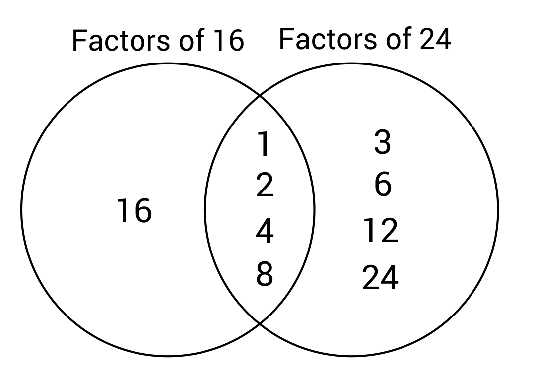 Venn diagram of factors of 16 and 24