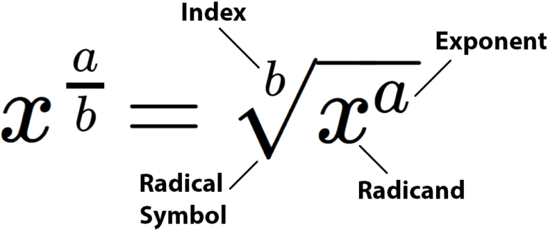 what-are-roots-in-math-video-practice-questions