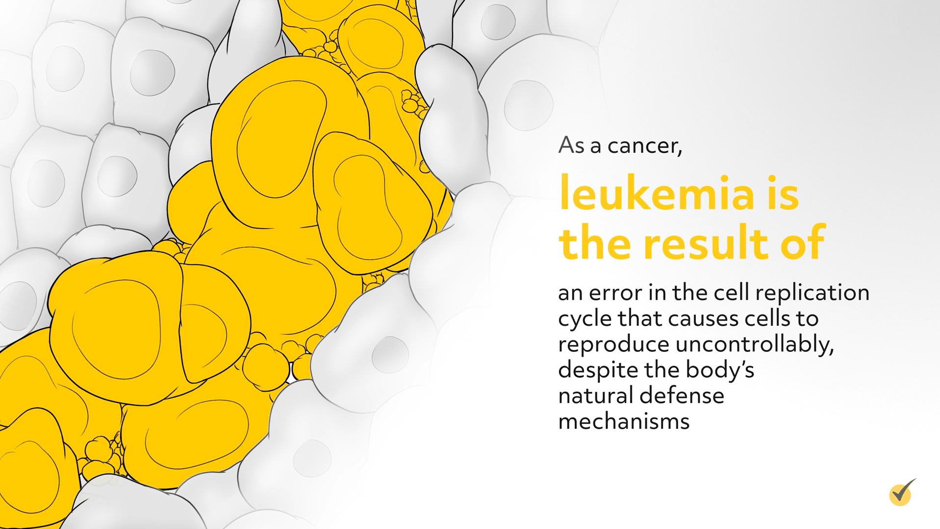 leukemia cells