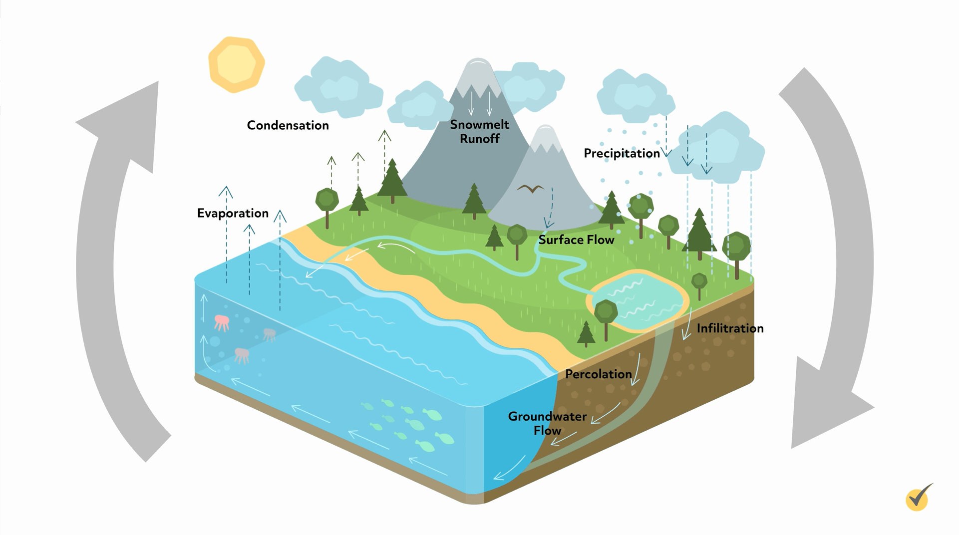 Image showing the hydrologic cycle. This shows how the snowmelt runoff ends up becoming surface flow into a body of water. From the body of water groundwater flows in streams to a larger body of water, where evaporation occurs, condensation, and precipitation. There are arrows showing that the cycle repeats itself in an endless cycle. 