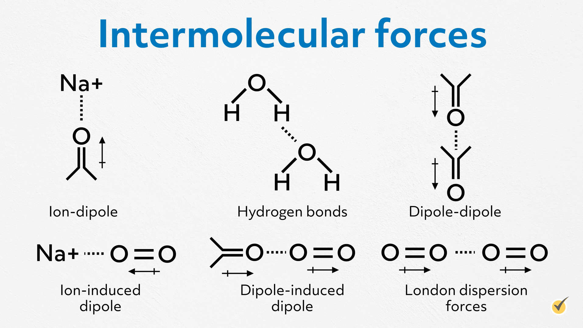 intermolecular forces