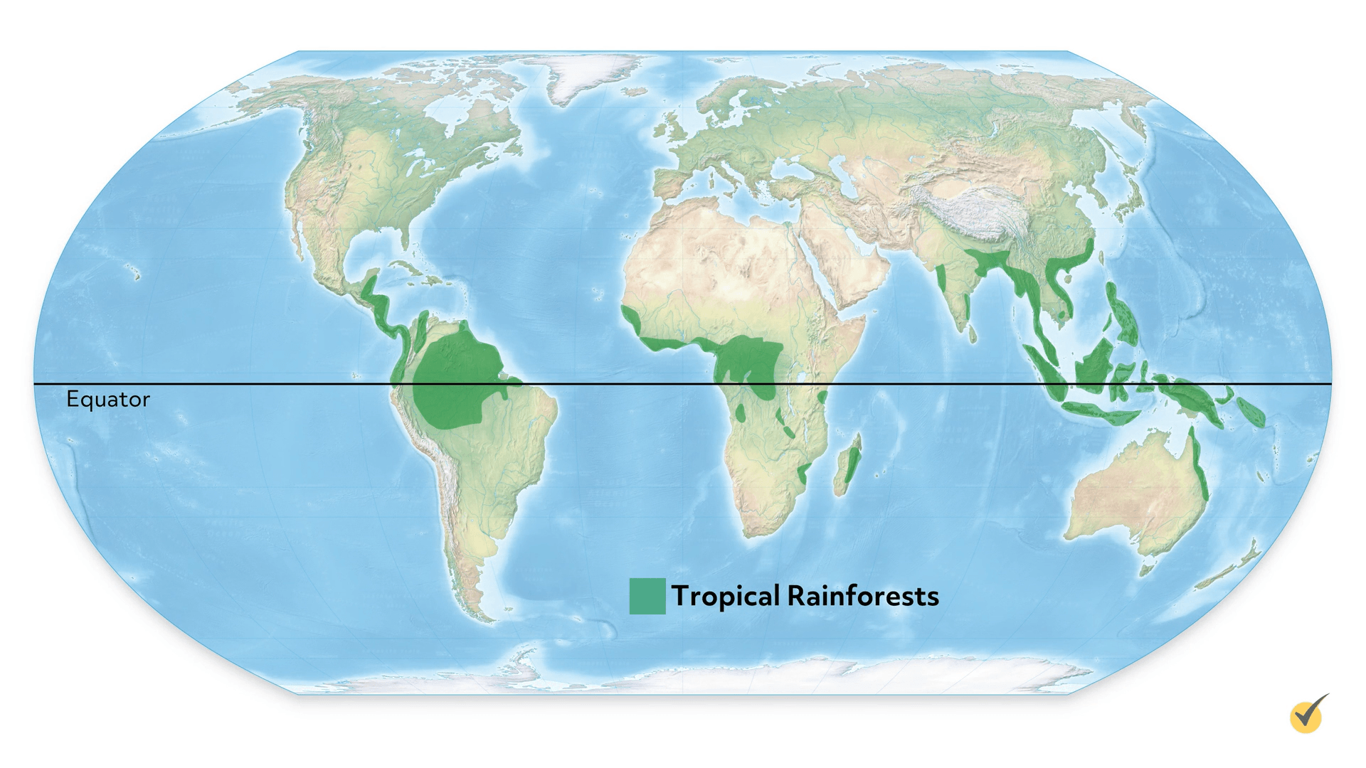 Image of the equator drawn over the tropical rainforests. 