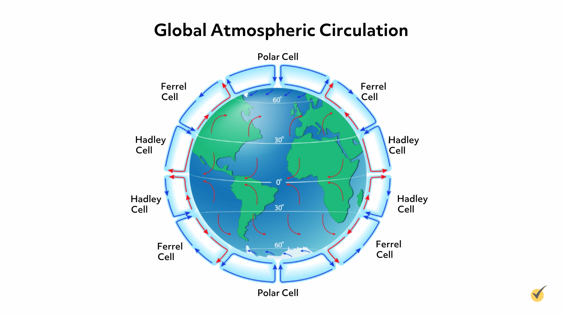 Image of Global Atmospheric Circulation broken up into convection cells. The top cells are Polar cells, mid-latitudes are Ferrel cells, and low latitudes have Hadley cells.