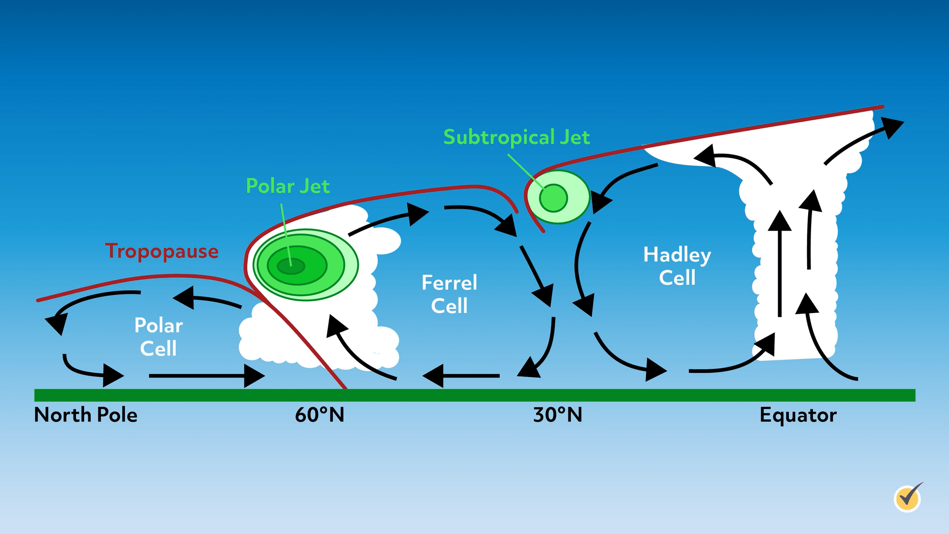 Closer look at convection cells and how they look. The jet streams in each of the cells have a circular motion in the location they are in. 