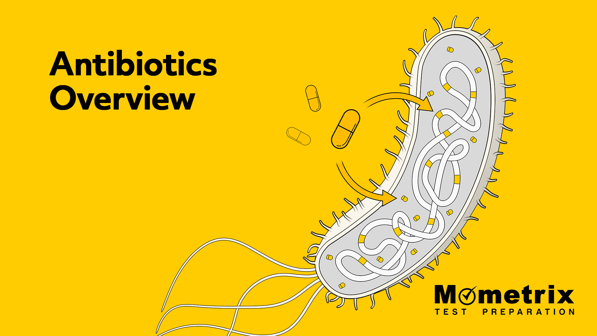 antibiotics-an-overview-video