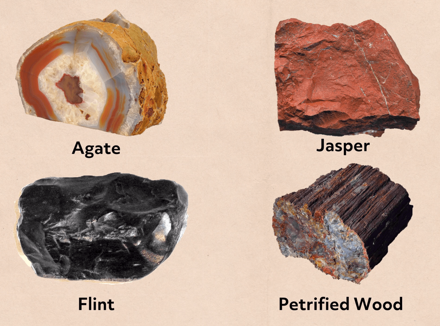 Four rocks are shown, labeled from top-left to bottom-right as "Agate," "Jasper," "Flint," and "Petrified Wood."