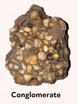 A cobble-filled rock labeled "conglomerate"