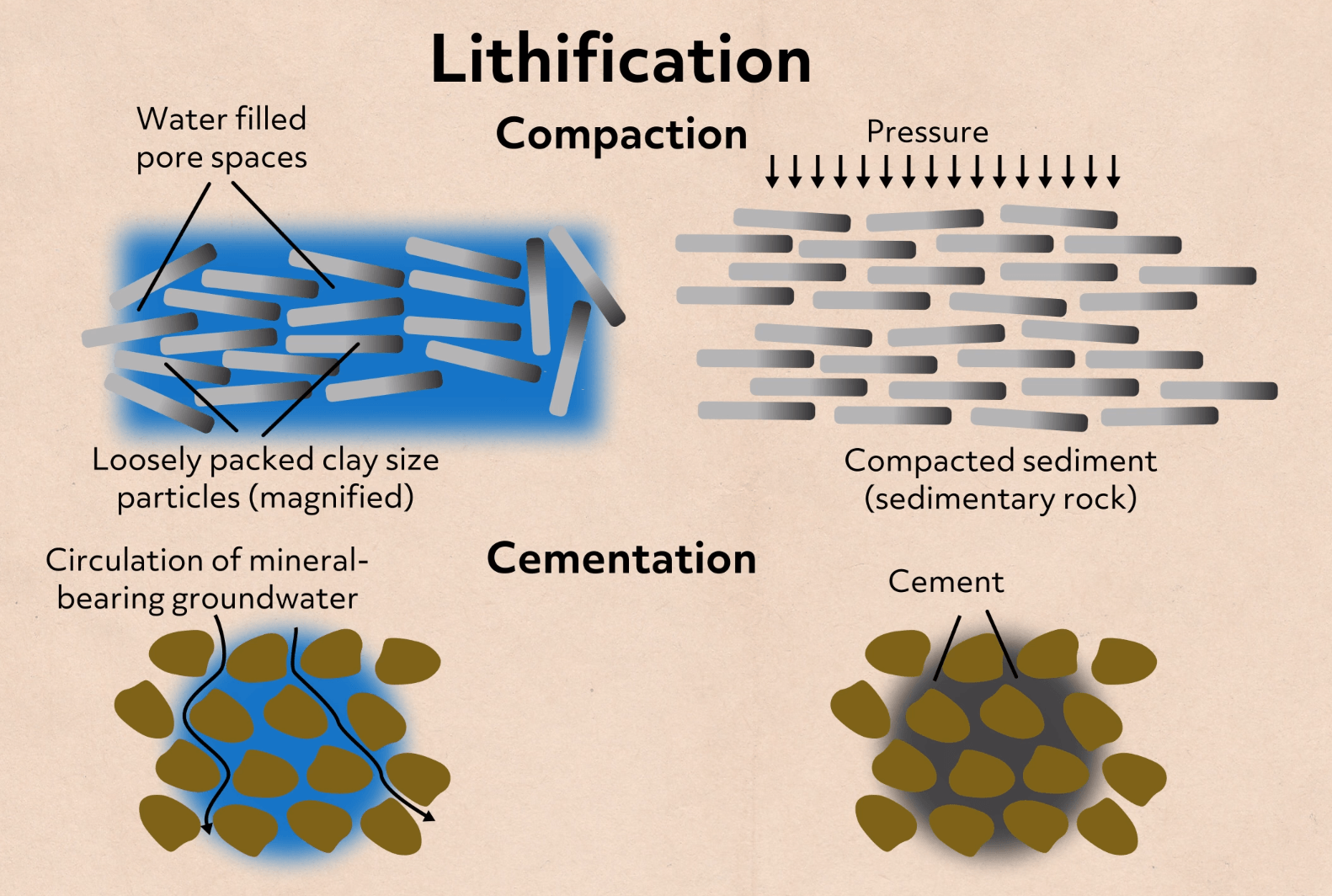 A diagram shows the processes of compaction and cementation