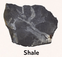 A dark, jagged rock, labeled "shale"
