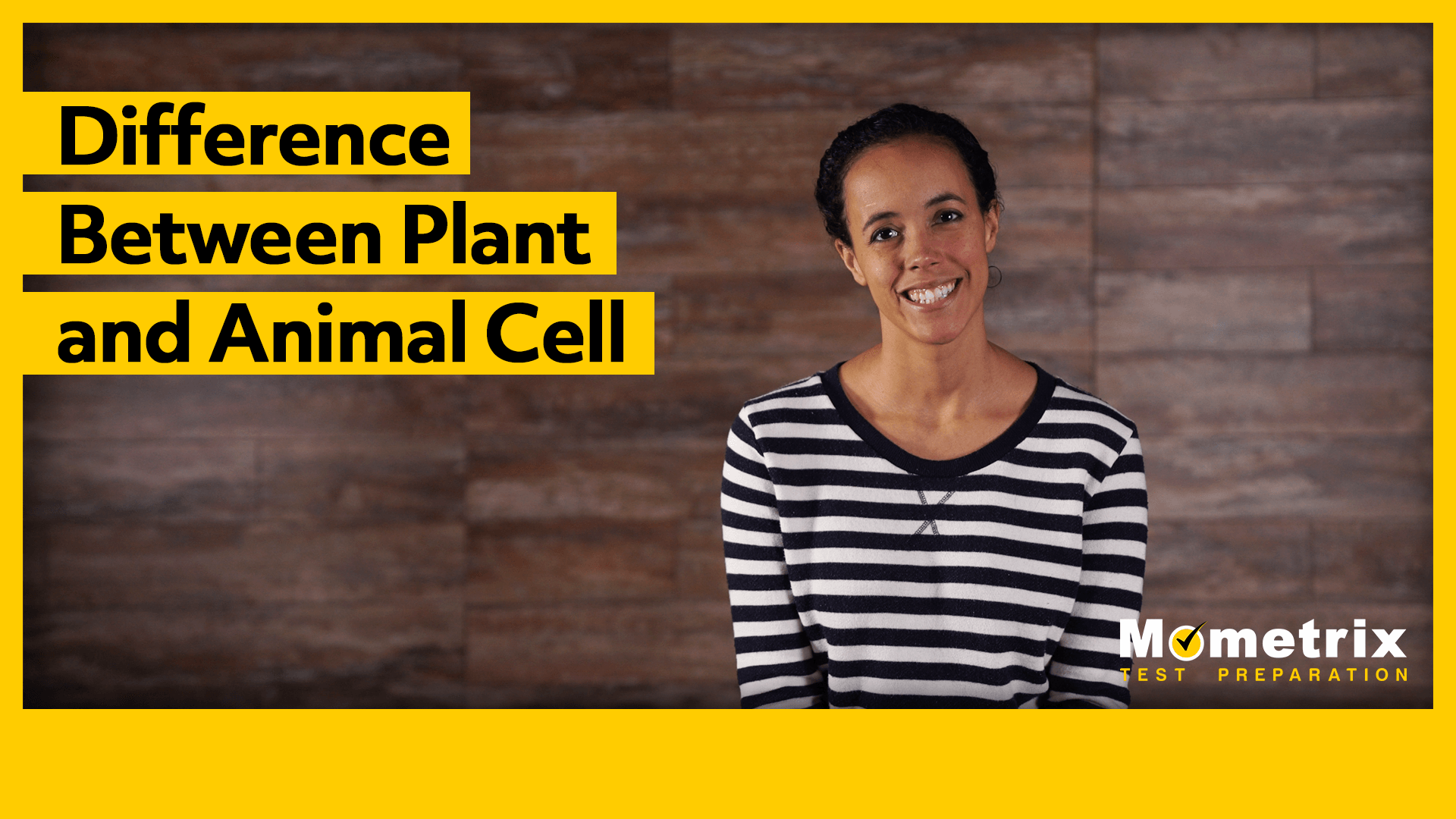 what-are-the-differences-between-plant-and-animal-cells