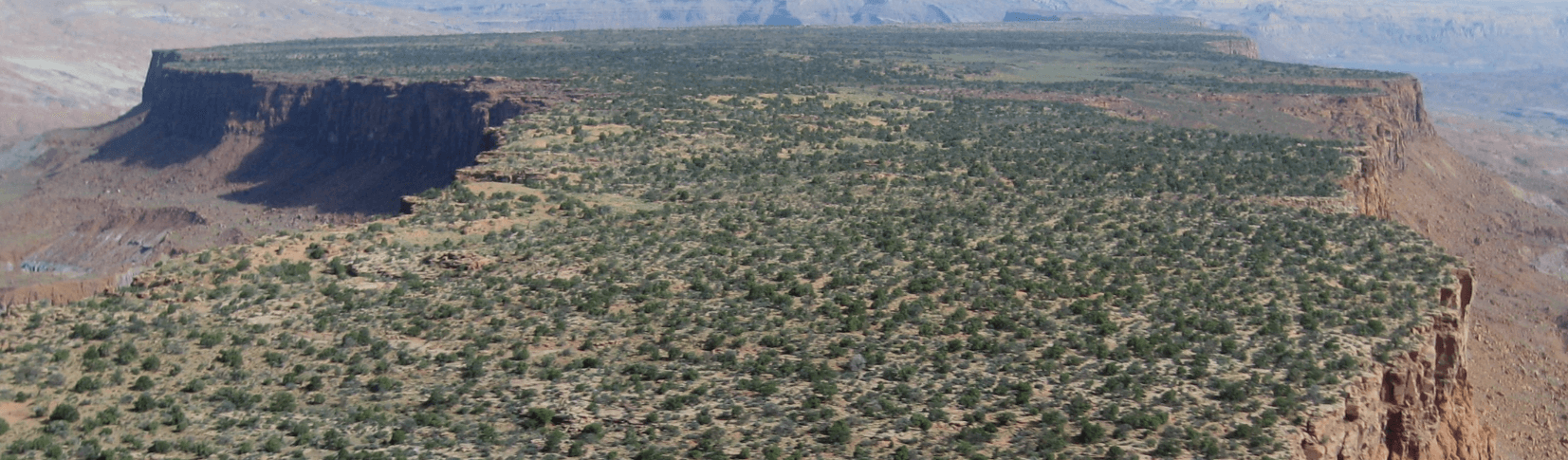 a large, raised, flat area of land dotted with foliage