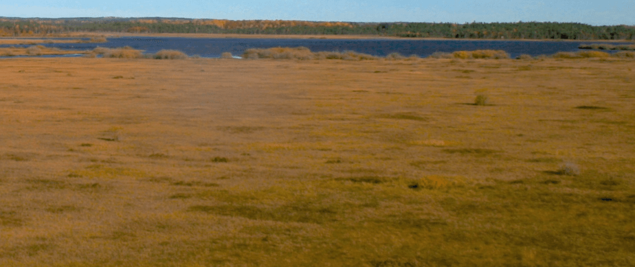 A flat, grassy area of land