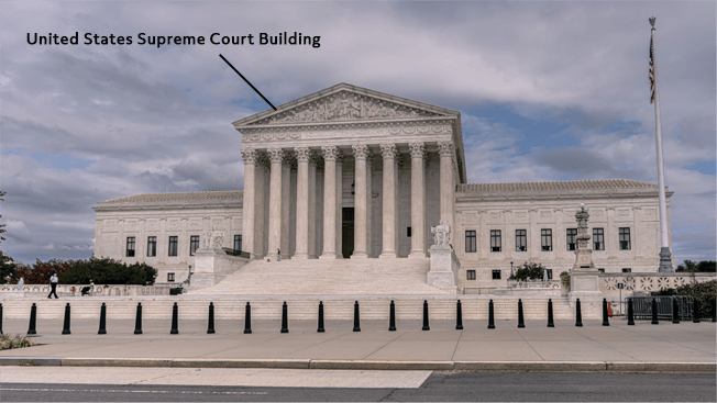 What is the function of the judicial branch of 2024 government