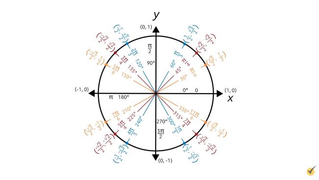 the trigonometric unit circle