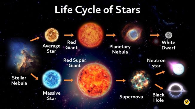 all of the white dwarf life cycle