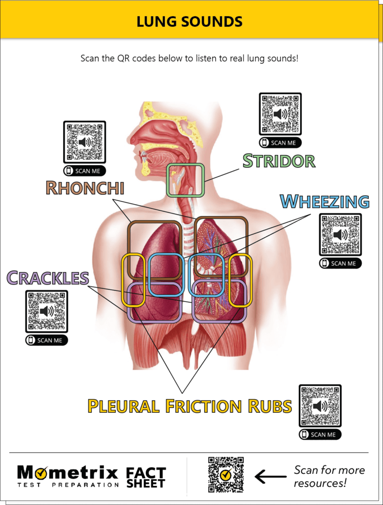 fluid in lungs sound