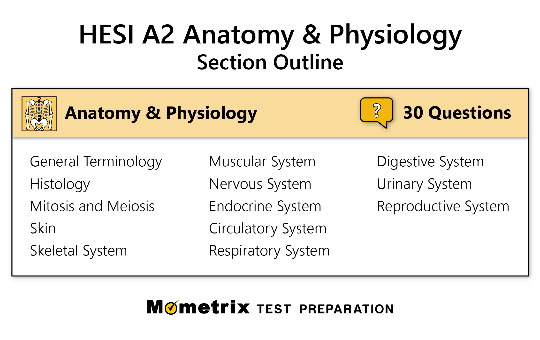 Anatomy And Physiology Practice Test