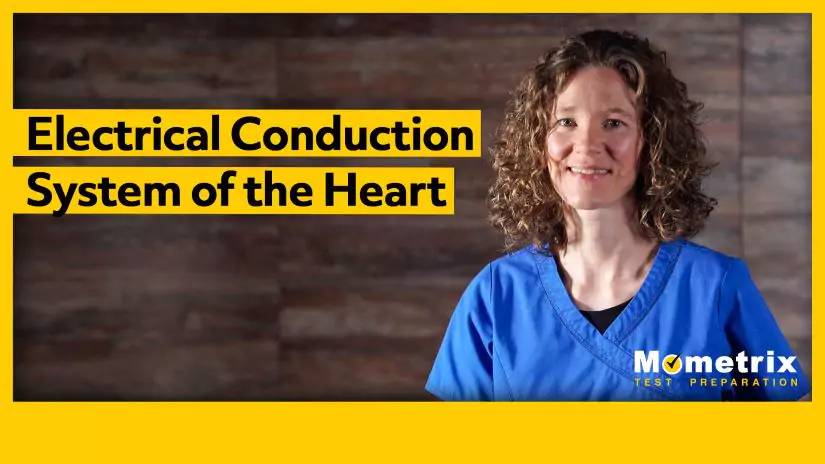 Thumbnail for the "Electrical Conduction System of the Heart" video.