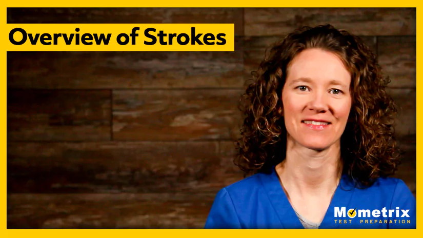 Thumbnail for the "Overview of Strokes" video.