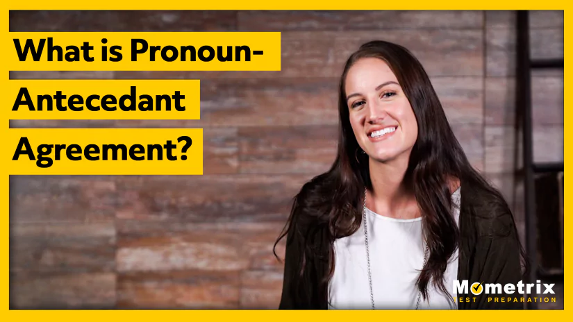 what-is-pronoun-antecedent-agreement-video