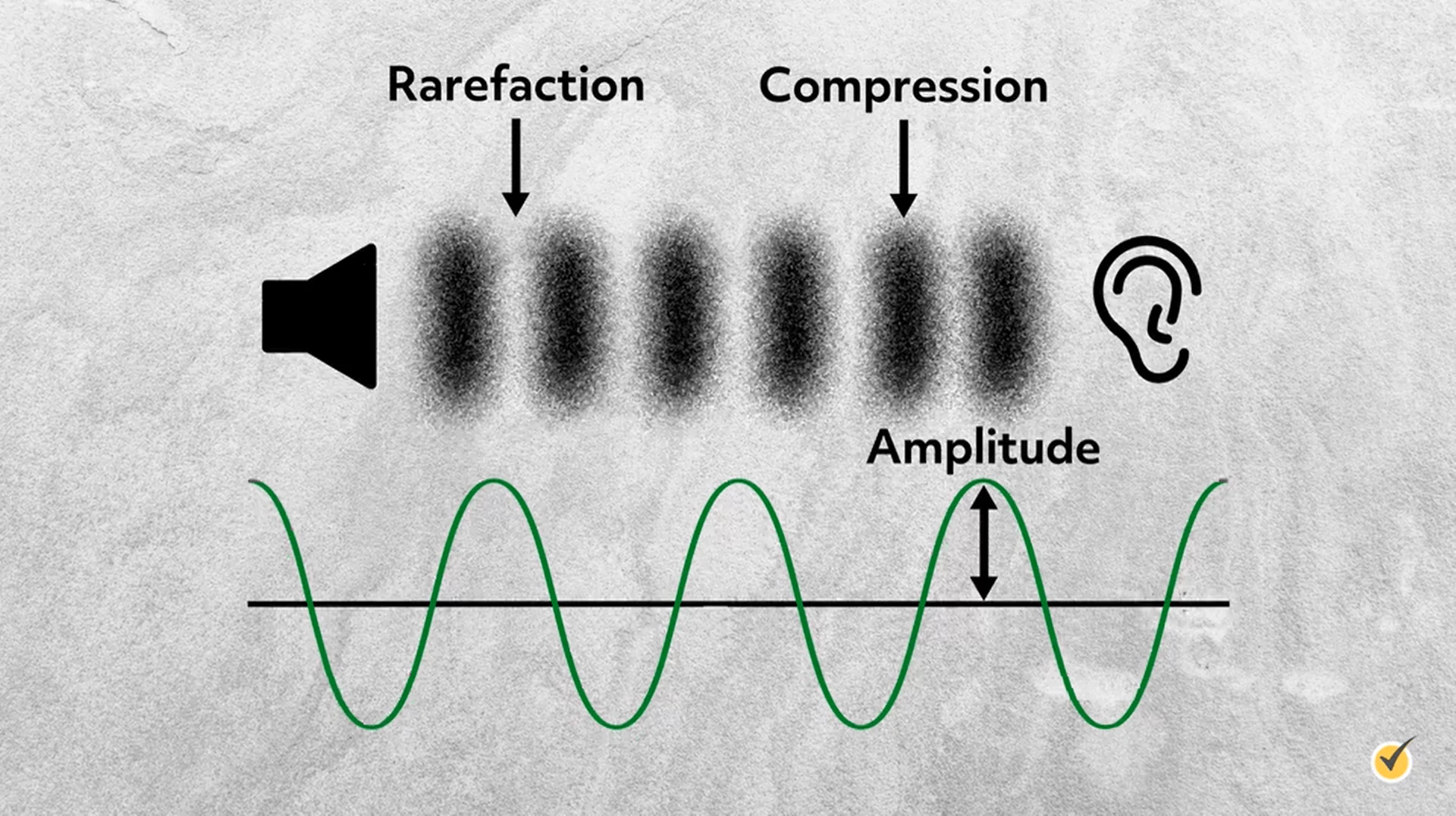 Sound Frequency, Frequency Of Sound Wave