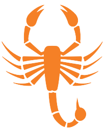 Orange silhouette of a scorpion with raised pincers and a curved tail, positioned on a white background.