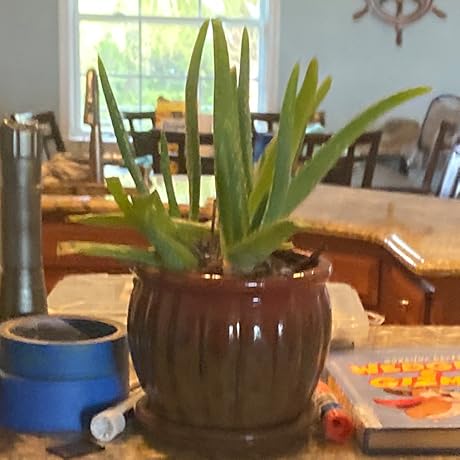 AngFam's profile picture