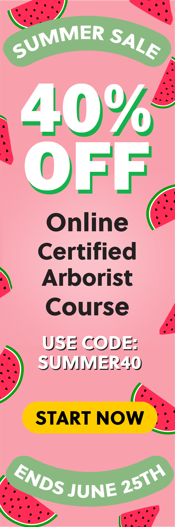 Click here for 40% off of Mometrix Certified Arborist online course. Use code: SUMMER40