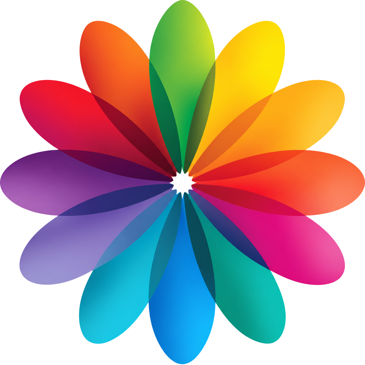 A symmetrical flower-like shape with twelve colorful, overlapping petals arranged in a circular pattern on a white background.